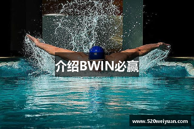 介绍BWIN必赢